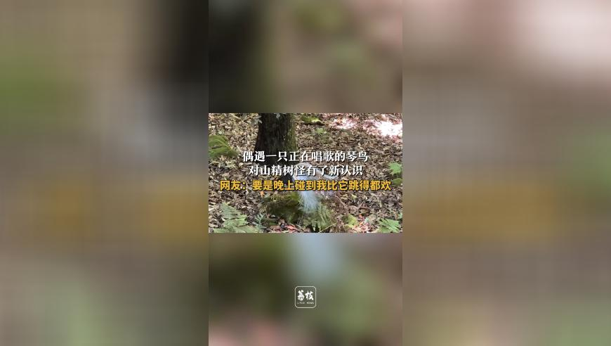 一肖一码100准2025澳门,中国空间站将迎首位外籍航天员,决策资料解释落实_探索版V3.94
