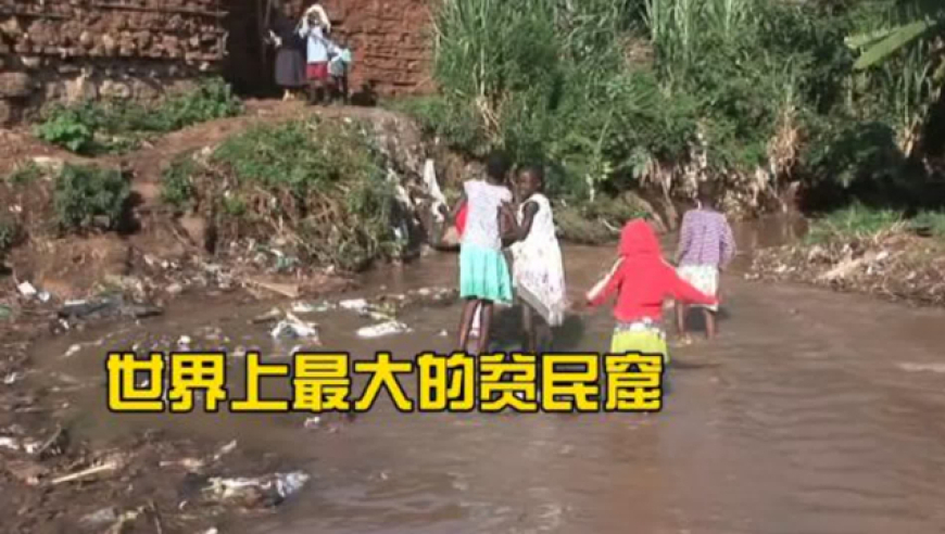 管家婆2025澳门开奖结果历史记录,我们都是平凡却努力生长的花,重点解答解释落实_iPadV2.14