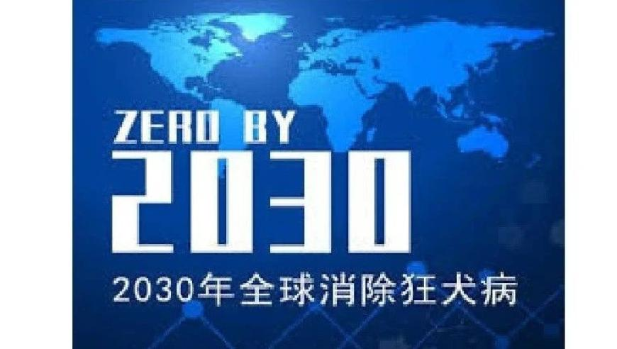 长沙多家药店开启互联网问诊,奥门天天彩开什么号码,创造力策略实施推广_测试版V1.74