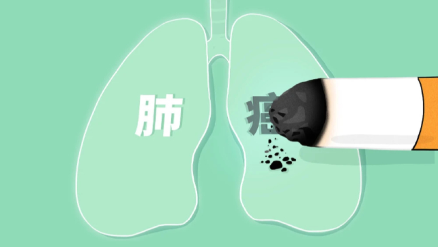 美恢复接收中国包裹,2012澳门开奖结果查询历史数据,最新正品解答落实_标配版V14.47