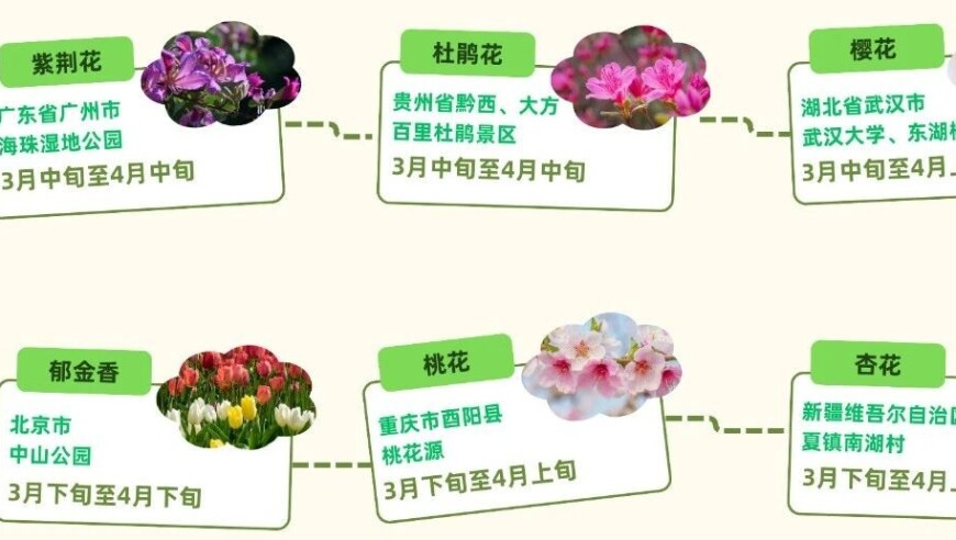 2025噢门管家婆资料正版大全,五条悟 怎么不找自己问题,动态词语解释落实_储蓄版V14.96