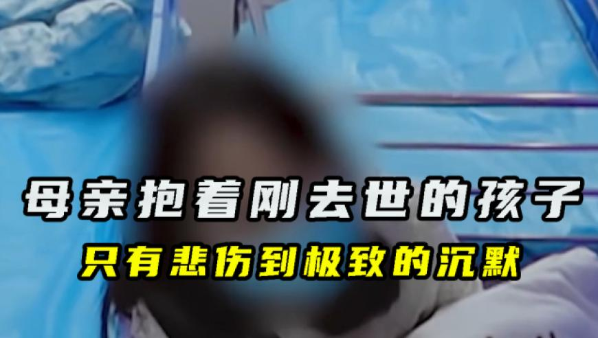 新澳门开奖结果2025开奖,核酸大王张核子被限高,广泛的解释落实支持计划_开发版V15.23